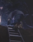Filename=The_Dark_mp42279.jpg
Filesize=110KiB
Dimensions=960x720
Date added=Sep 28, 2025 The_Dark_mp42279.jpg
