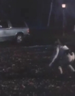 Filename=The_Dark_mp43285.jpg
Filesize=130KiB
Dimensions=960x720
Date added=Sep 28, 2025 The_Dark_mp43285.jpg