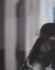 Filename=The_Dark_mp43294.jpg
Filesize=112KiB
Dimensions=960x720
Date added=Sep 28, 2025 The_Dark_mp43294.jpg