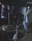 Filename=The_Dark_mp43616.jpg
Filesize=130KiB
Dimensions=960x720
Date added=Sep 28, 2025 The_Dark_mp43616.jpg