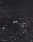 Filename=The_Dark_mp43633.jpg
Filesize=146KiB
Dimensions=960x720
Date added=Sep 28, 2025 The_Dark_mp43633.jpg
