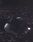 Filename=The_Dark_mp43635.jpg
Filesize=117KiB
Dimensions=960x720
Date added=Sep 28, 2025 The_Dark_mp43635.jpg
