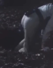 Filename=The_Dark_mp43636.jpg
Filesize=127KiB
Dimensions=960x720
Date added=Sep 28, 2025 The_Dark_mp43636.jpg