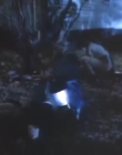 Filename=The_Dark_mp44377.jpg
Filesize=169KiB
Dimensions=960x720
Date added=Sep 28, 2025 The_Dark_mp44377.jpg