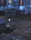 The_Dark_mp44853.jpg