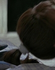 Filename=Scream_mp40929.jpg
Filesize=751KiB
Dimensions=1920x816
Date added=Sep 28, 2025 Scream_mp40929.jpg