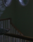 Filename=Scream_mp41815.jpg
Filesize=701KiB
Dimensions=1920x816
Date added=Sep 28, 2025 Scream_mp41815.jpg