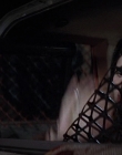 Filename=Scream_2_mp45295.jpg
Filesize=672KiB
Dimensions=1920x816
Date added=Sep 28, 2025 Scream_2_mp45295.jpg