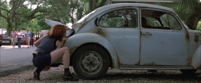 Wild_Things_mp40638.jpg
