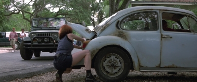 Wild_Things_mp40643.jpg