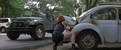 Wild_Things_mp40645.jpg