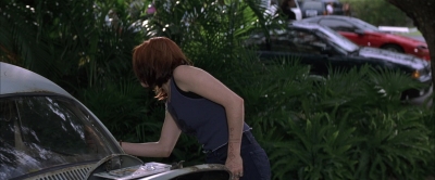 Wild_Things_mp40655.jpg