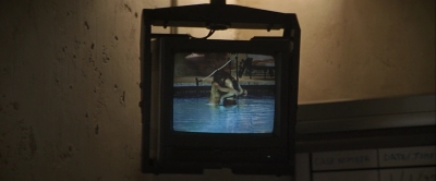 Wild_Things_mp44216.jpg