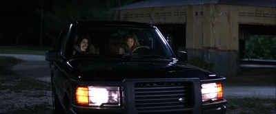 Wild_Things_mp44404.jpg