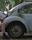 Wild_Things_mp40642.jpg