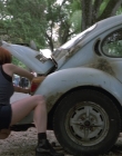 Wild_Things_mp40643.jpg