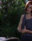 Wild_Things_mp40652.jpg