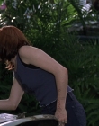 Wild_Things_mp40655.jpg