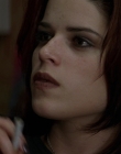 Filename=Wild_Things_mp42227.jpg
Filesize=659KiB
Dimensions=1920x800
Date added=Sep 28, 2025 Wild_Things_mp42227.jpg