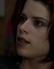 Filename=Wild_Things_mp42228.jpg
Filesize=657KiB
Dimensions=1920x800
Date added=Sep 28, 2025 Wild_Things_mp42228.jpg