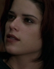 Filename=Wild_Things_mp42233.jpg
Filesize=687KiB
Dimensions=1920x800
Date added=Sep 28, 2025 Wild_Things_mp42233.jpg