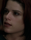 Filename=Wild_Things_mp42234.jpg
Filesize=653KiB
Dimensions=1920x800
Date added=Sep 28, 2025 Wild_Things_mp42234.jpg