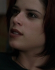 Filename=Wild_Things_mp42236.jpg
Filesize=657KiB
Dimensions=1920x800
Date added=Sep 28, 2025 Wild_Things_mp42236.jpg