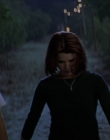 Filename=Wild_Things_mp42247.jpg
Filesize=713KiB
Dimensions=1920x800
Date added=Sep 28, 2025 Wild_Things_mp42247.jpg