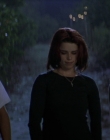 Filename=Wild_Things_mp42256.jpg
Filesize=701KiB
Dimensions=1920x800
Date added=Sep 28, 2025 Wild_Things_mp42256.jpg