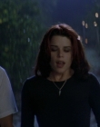 Filename=Wild_Things_mp42260.jpg
Filesize=735KiB
Dimensions=1920x800
Date added=Sep 28, 2025 Wild_Things_mp42260.jpg