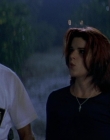 Filename=Wild_Things_mp42265.jpg
Filesize=733KiB
Dimensions=1920x800
Date added=Sep 28, 2025 Wild_Things_mp42265.jpg