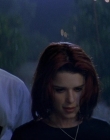 Filename=Wild_Things_mp42268.jpg
Filesize=778KiB
Dimensions=1920x800
Date added=Sep 28, 2025 Wild_Things_mp42268.jpg