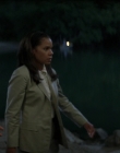 Filename=Wild_Things_mp42300.jpg
Filesize=672KiB
Dimensions=1920x800
Date added=Sep 28, 2025 Wild_Things_mp42300.jpg