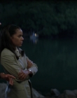 Filename=Wild_Things_mp42334.jpg
Filesize=664KiB
Dimensions=1920x800
Date added=Sep 28, 2025 Wild_Things_mp42334.jpg