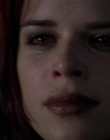 Filename=Wild_Things_mp42339.jpg
Filesize=557KiB
Dimensions=1920x800
Date added=Sep 28, 2025 Wild_Things_mp42339.jpg