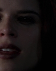 Filename=Wild_Things_mp42340.jpg
Filesize=570KiB
Dimensions=1920x800
Date added=Sep 28, 2025 Wild_Things_mp42340.jpg