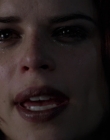 Filename=Wild_Things_mp42341.jpg
Filesize=567KiB
Dimensions=1920x800
Date added=Sep 28, 2025 Wild_Things_mp42341.jpg