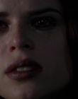 Filename=Wild_Things_mp42343.jpg
Filesize=578KiB
Dimensions=1920x800
Date added=Sep 28, 2025 Wild_Things_mp42343.jpg