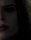 Filename=Wild_Things_mp42345.jpg
Filesize=548KiB
Dimensions=1920x800
Date added=Sep 28, 2025 Wild_Things_mp42345.jpg