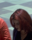 Filename=Wild_Things_mp42423.jpg
Filesize=739KiB
Dimensions=1920x800
Date added=Sep 28, 2025 Wild_Things_mp42423.jpg