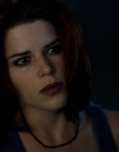 Filename=Wild_Things_mp43828.jpg
Filesize=577KiB
Dimensions=1920x800
Date added=Sep 28, 2025 Wild_Things_mp43828.jpg