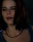 Filename=Wild_Things_mp43837.jpg
Filesize=604KiB
Dimensions=1920x800
Date added=Sep 28, 2025 Wild_Things_mp43837.jpg