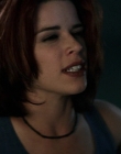 Filename=Wild_Things_mp43840.jpg
Filesize=690KiB
Dimensions=1920x800
Date added=Sep 28, 2025 Wild_Things_mp43840.jpg