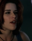 Filename=Wild_Things_mp43842.jpg
Filesize=654KiB
Dimensions=1920x800
Date added=Sep 28, 2025 Wild_Things_mp43842.jpg