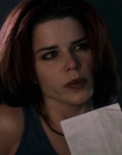 Filename=Wild_Things_mp43860.jpg
Filesize=626KiB
Dimensions=1920x800
Date added=Sep 28, 2025 Wild_Things_mp43860.jpg