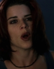 Filename=Wild_Things_mp43887.jpg
Filesize=576KiB
Dimensions=1920x800
Date added=Sep 28, 2025 Wild_Things_mp43887.jpg