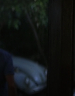 Filename=Wild_Things_mp43937.jpg
Filesize=629KiB
Dimensions=1920x800
Date added=Sep 28, 2025 Wild_Things_mp43937.jpg