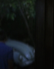 Filename=Wild_Things_mp43938.jpg
Filesize=629KiB
Dimensions=1920x800
Date added=Sep 28, 2025 Wild_Things_mp43938.jpg