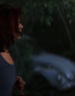 Filename=Wild_Things_mp43942.jpg
Filesize=649KiB
Dimensions=1920x800
Date added=Sep 28, 2025 Wild_Things_mp43942.jpg