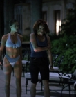 Filename=Wild_Things_mp43971.jpg
Filesize=738KiB
Dimensions=1920x800
Date added=Sep 28, 2025 Wild_Things_mp43971.jpg